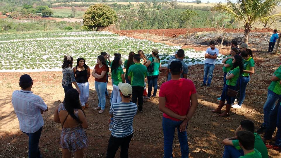 Capa foto Campo Jovem 