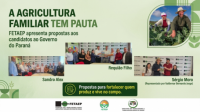 Ilustração em miniatura da áudio FETAEP entrega pauta da Agricultura Familiar aos candidatos ao Governo do Paraná