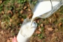 Ilustração em miniatura da noticia CONTAG, Federações e Sindicatos pressionam e governo recua do fim das taxações do leite europeu