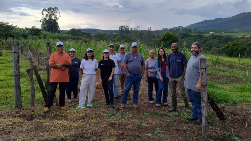 Agrofloresta ganhando espaço no Paraná