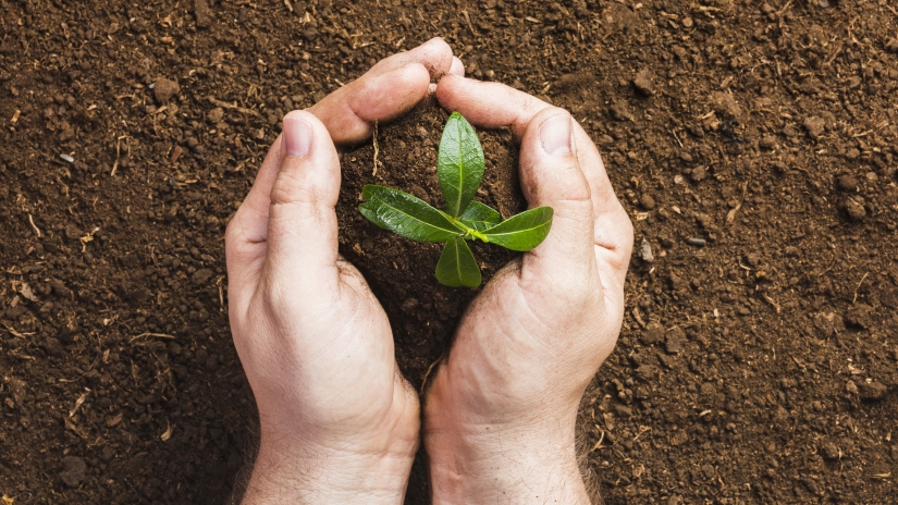 Programa Terra Cidadã amplia atendimento do INCRA nos Sindicatos