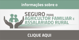 Ilustração em miniatura da página Seguro do Agricultor Familiar e do Assalariado e Rural